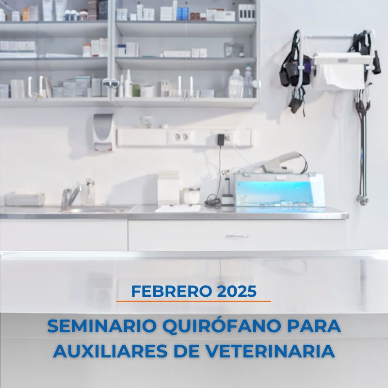 Centro de Formación Tenerife - CEPSUR - Seminario quirófano para auxiliares de veterinaria