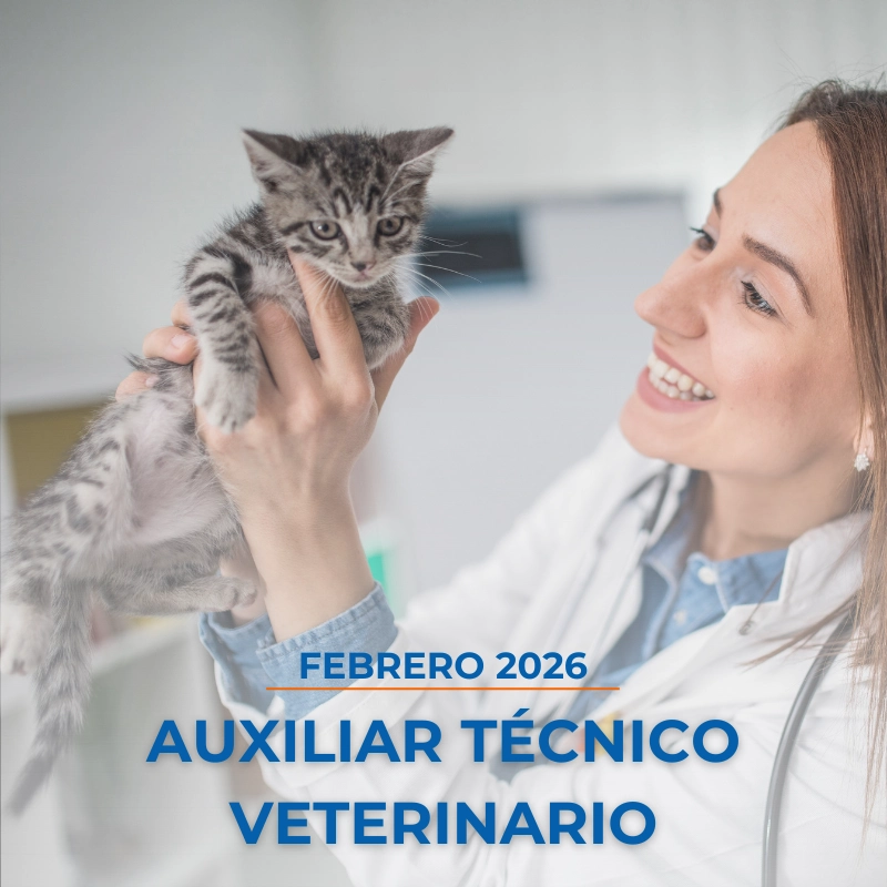 Curso de Auxiliar Técnico Veterinario Febrero 2026