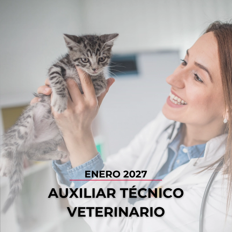 Curso Auxiliar Técnico Veterinario - Enero 2027